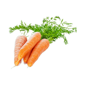 Fresh Carrots