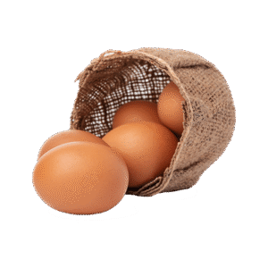 Chiken Egg