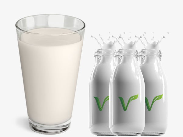 Organic Cow Milk Vera Organic