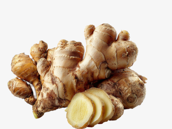 Organic Adrak Pakistan