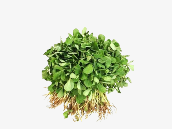 Organic Methi Pakistan